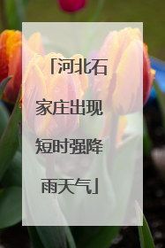河北石家庄出现短时强降雨天气